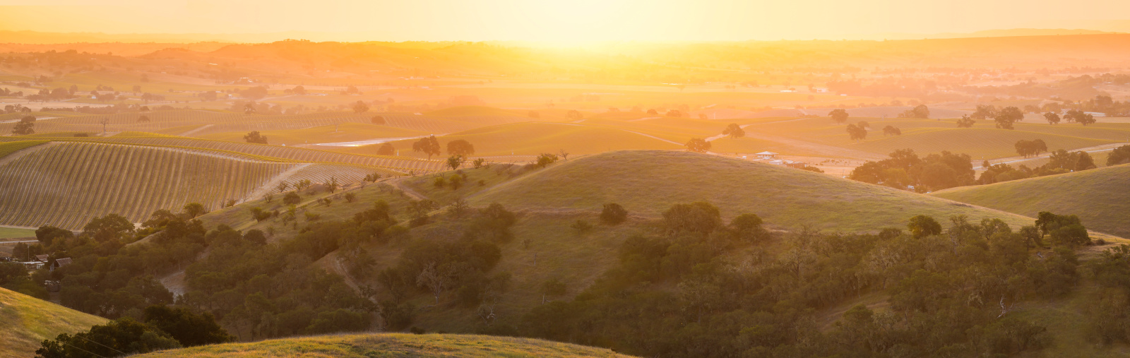 Sunrise near Paso Robles