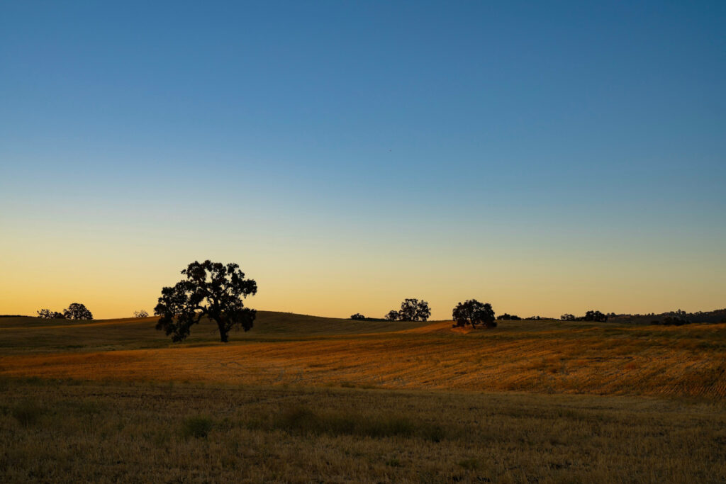 Sunrise in Templeton, California